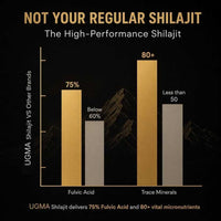 UGMA Himalayan Shilajit Resin