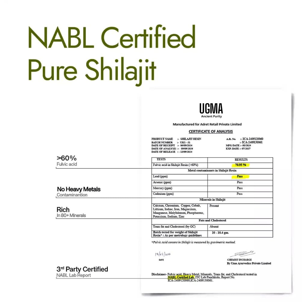 Himalayan Shilajit Energy Resin™